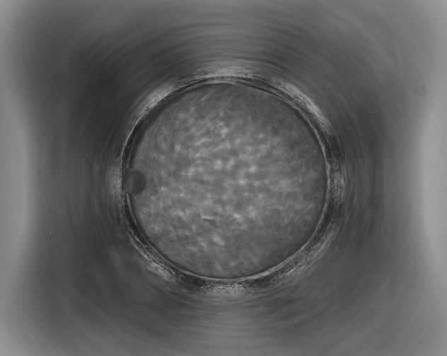 X0000116570882200912171501