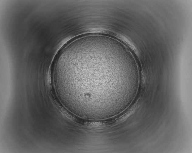 X0000116570883200912171501