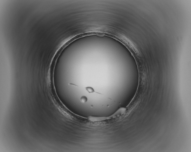 X0000116570884200912171501