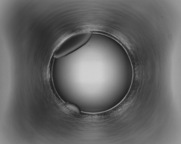 X0000116570885200912171501