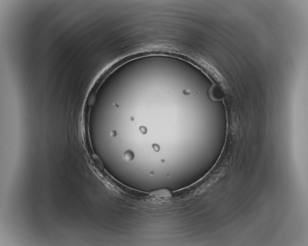 X0000116570888200912171501