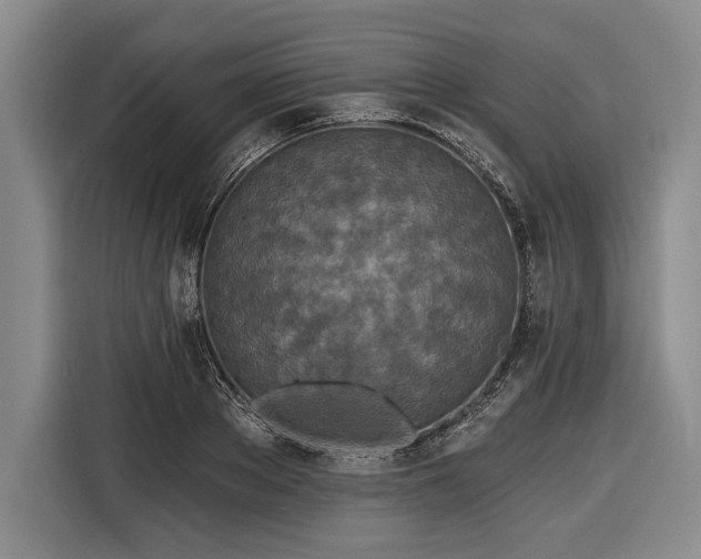 X0000116570889200912171501