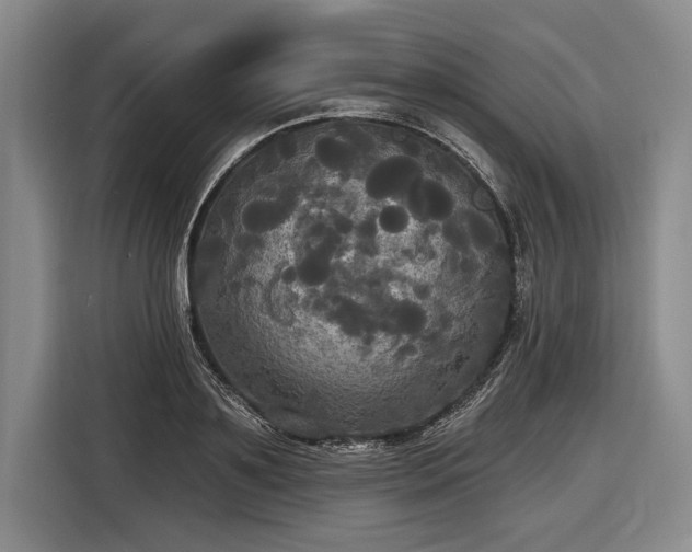 X0000116570891200912171501