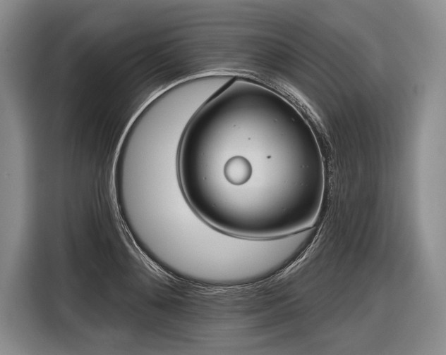 X0000116570892200912171501