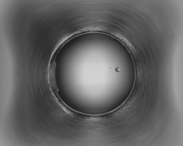 X0000116570894200912171501