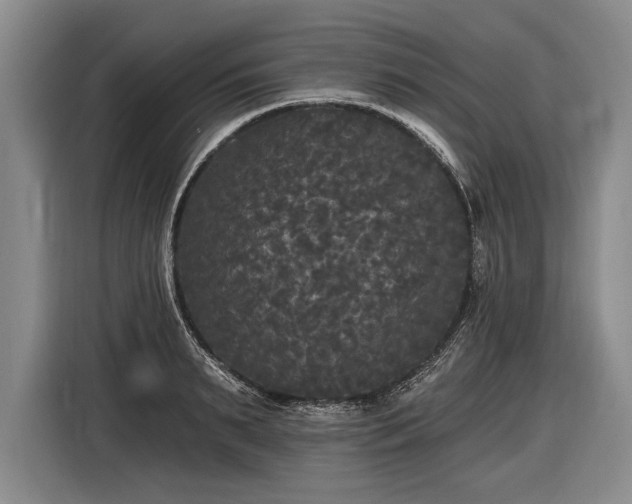 X0000116570895200912171501