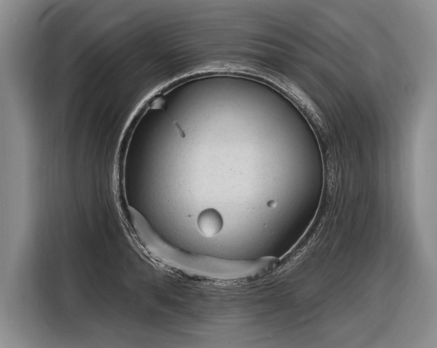 X0000116570896200912171501