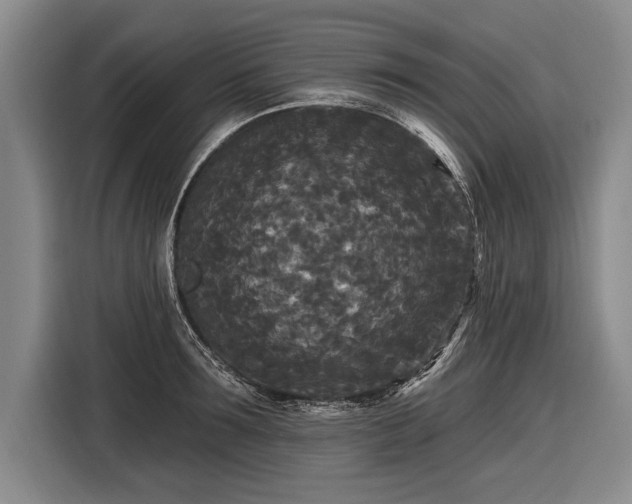 X0000116570899200912171501