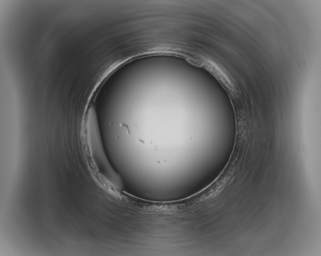 X0000116570900200912171501