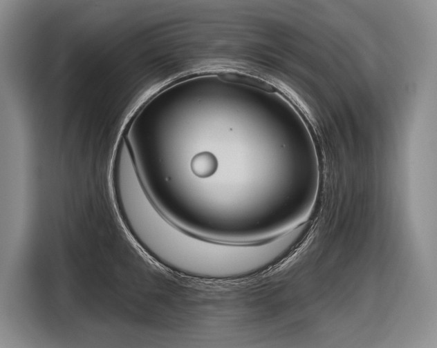 X0000116570901200912171501