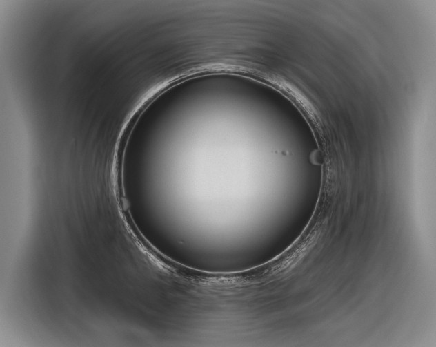 X0000116570902200912171501