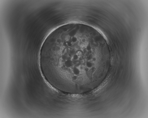 X0000116570903200912171501