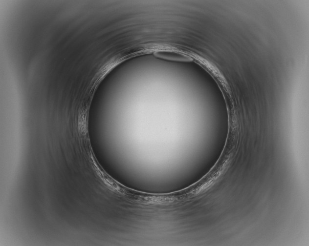 X0000116570905200912171501