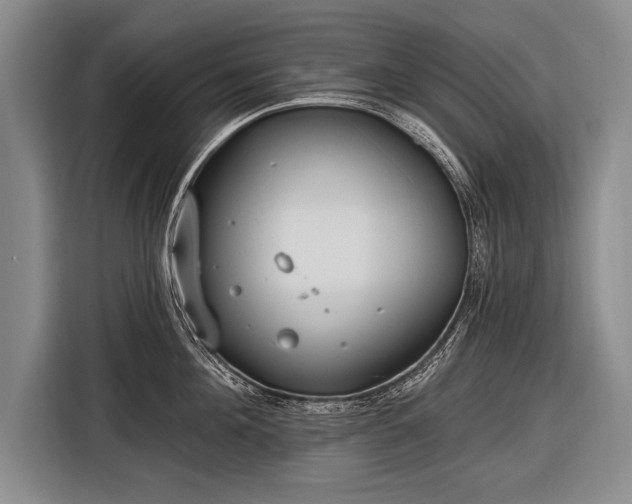 X0000116570908200912171501