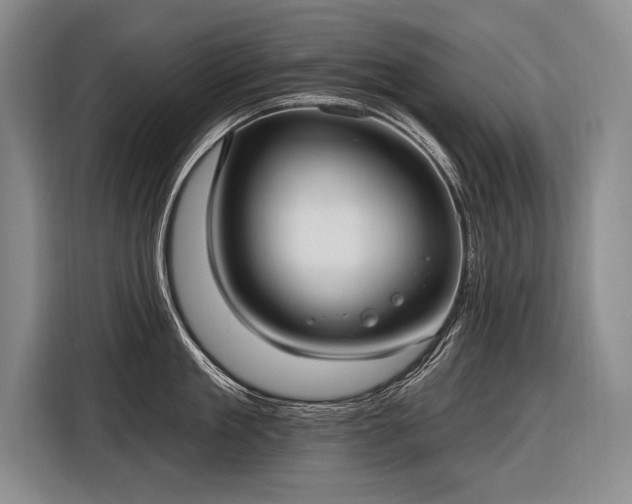 X0000116570909200912171501