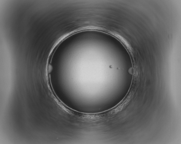 X0000116570910200912171501