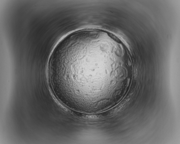 X0000116570911200912171501