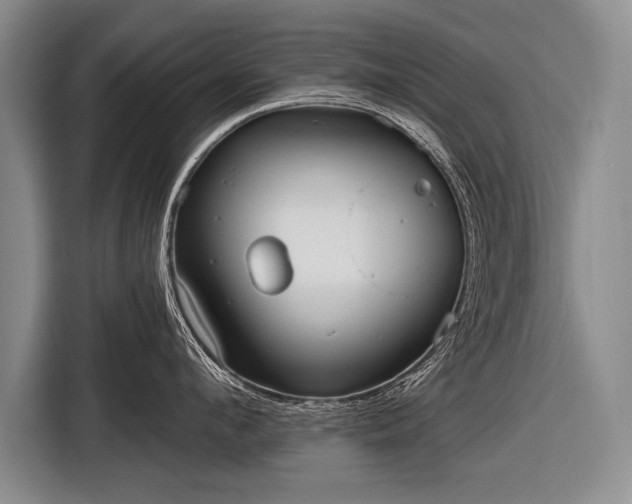 X0000116570912200912171501