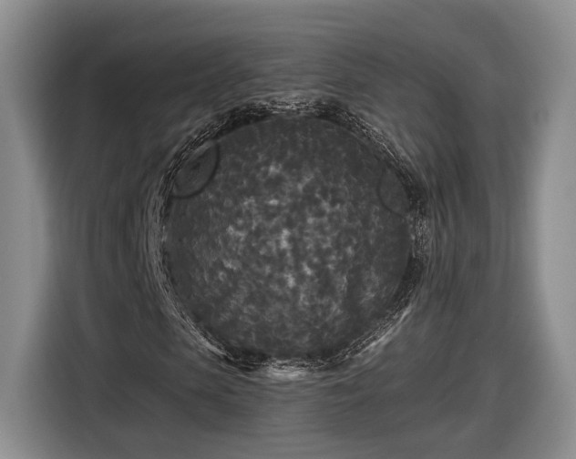 X0000116570913200912171500