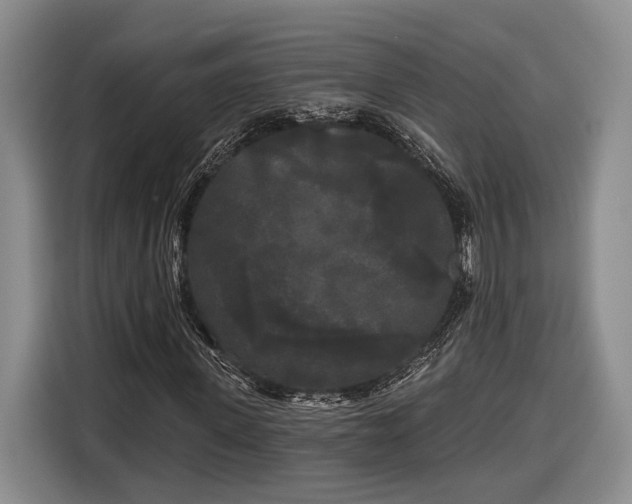 X0000116570915200912171500