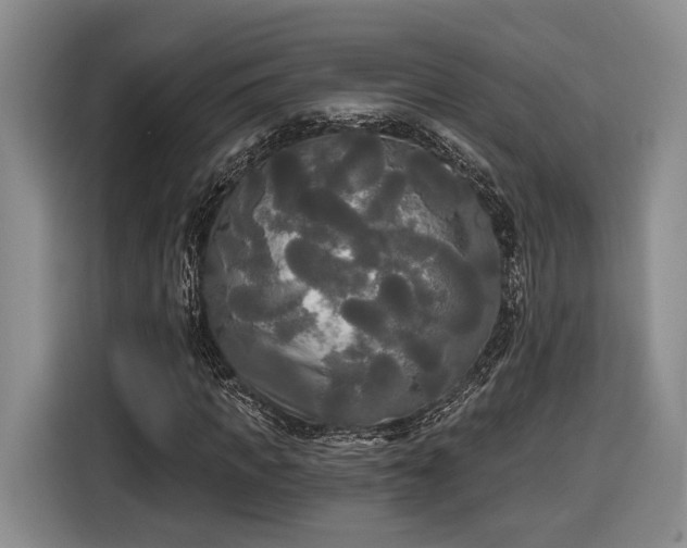 X0000116570917200912171501