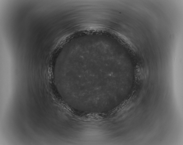 X0000116570918200912171501