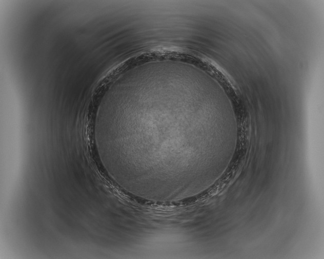 X0000116570919200912171501