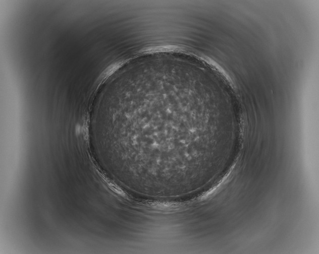 X0000116570921200912171501