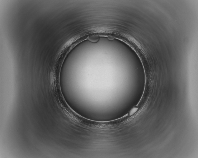 X0000116570922200912171501