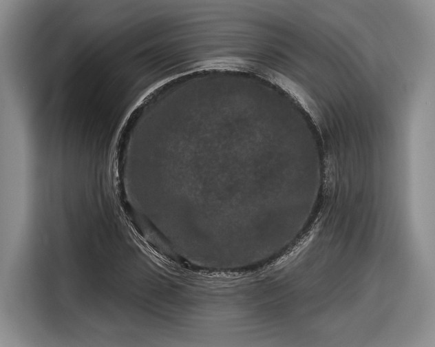 X0000116570923200912171501