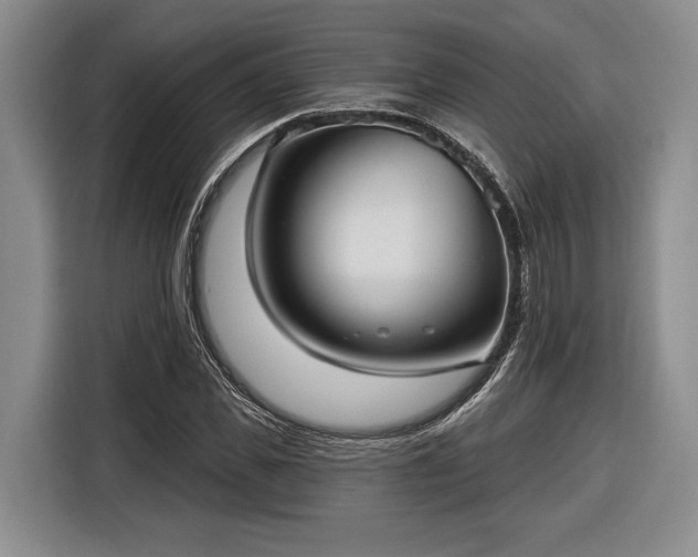 X0000116570925200912171501