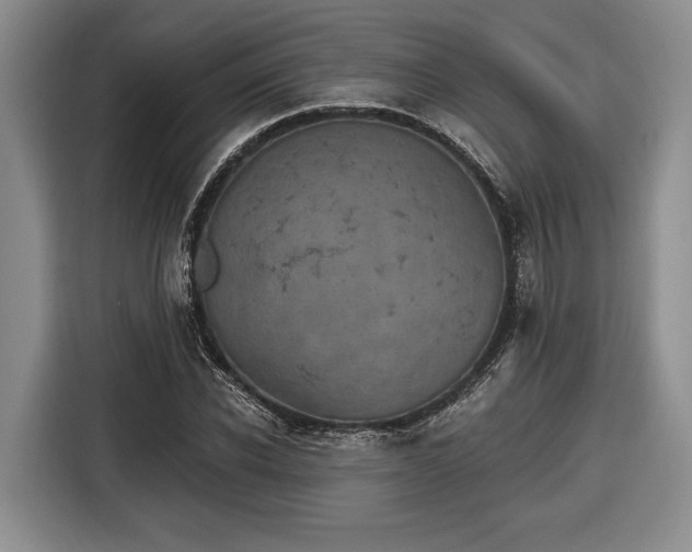 X0000116570926200912171501