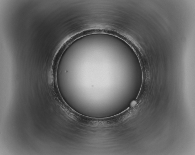 X0000116570927200912171501