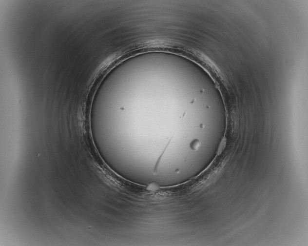 X0000116570930200912171501