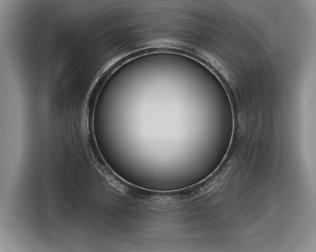 X0000116570931200912171501