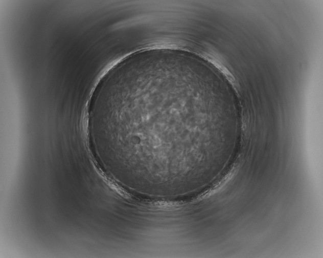 X0000116570933200912171501