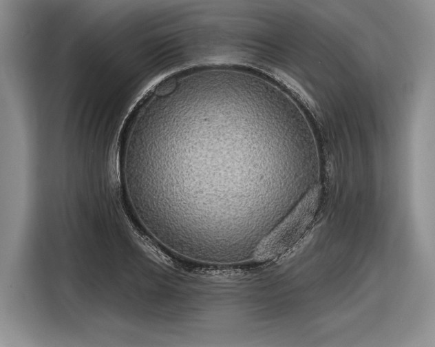 X0000116570934200912171501