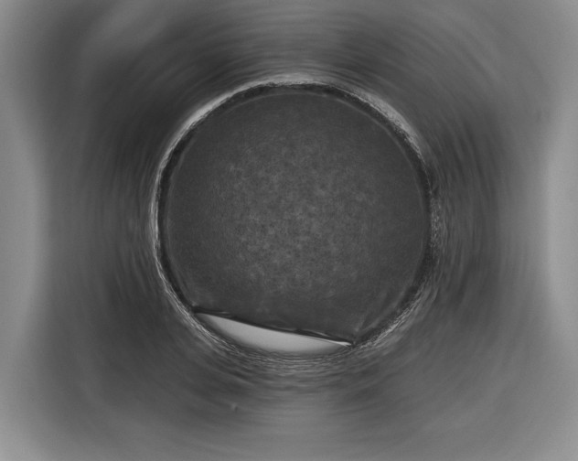 X0000116570935200912171501