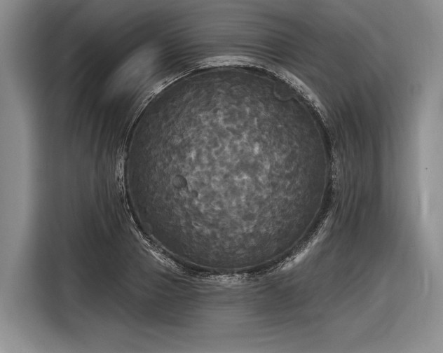 X0000116570937200912171501