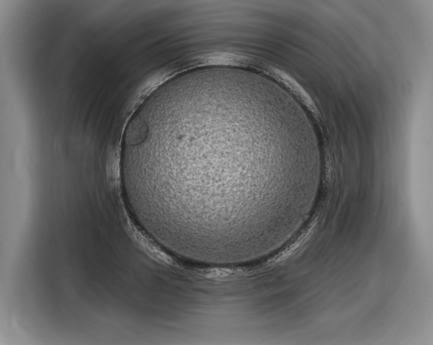 X0000116570938200912171501