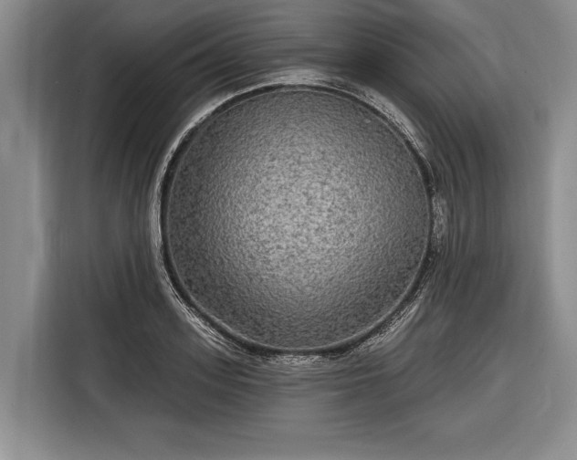 X0000116570939200912171501