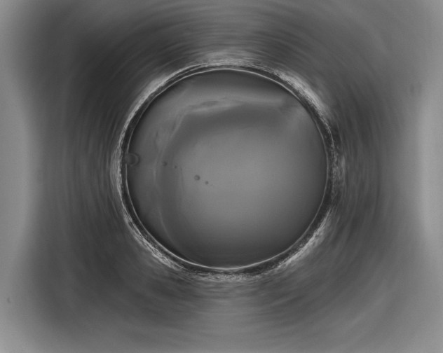 X0000116570941200912171501