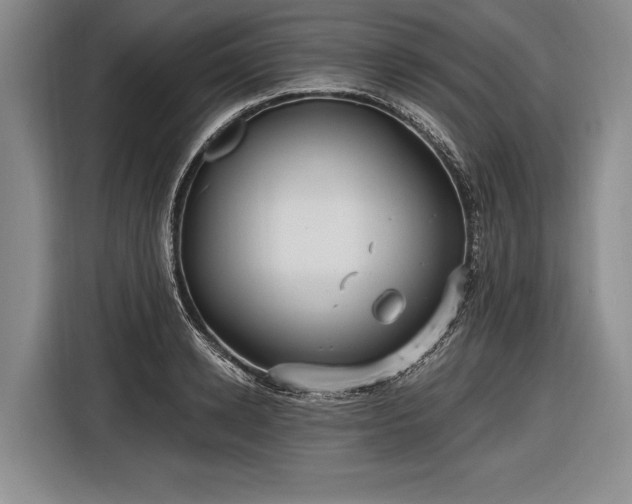 X0000116570942200912171501