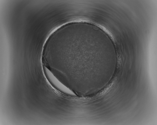 X0000116570943200912171501