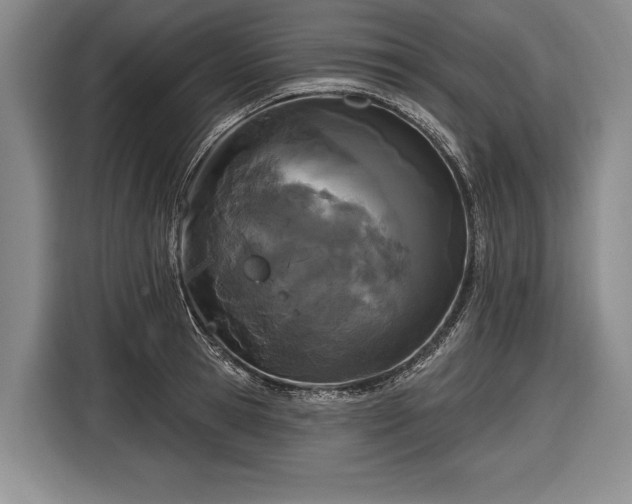 X0000116570945200912171501