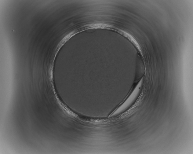 X0000116570946200912171501