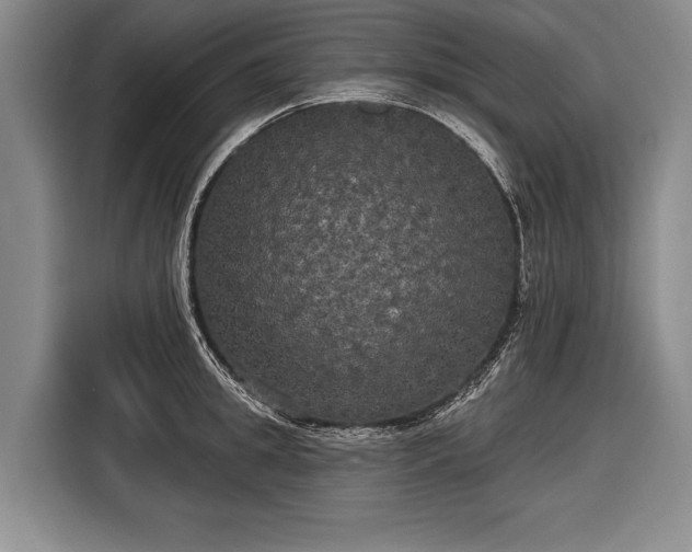 X0000116570949200912171501