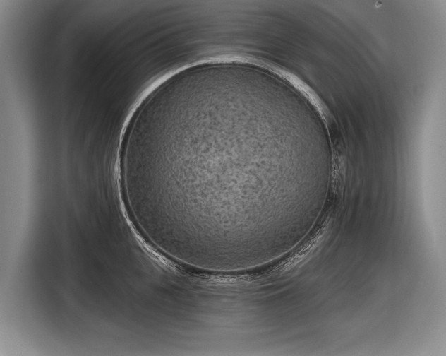 X0000116570951200912171501