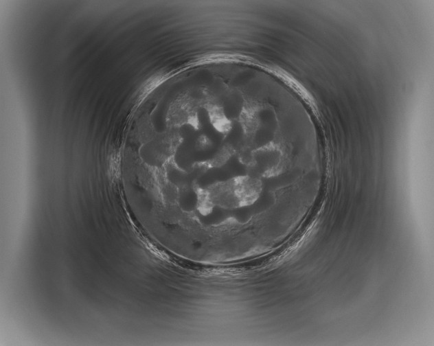 X0000116570953200912171501