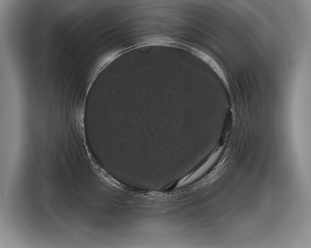 X0000116570954200912171501